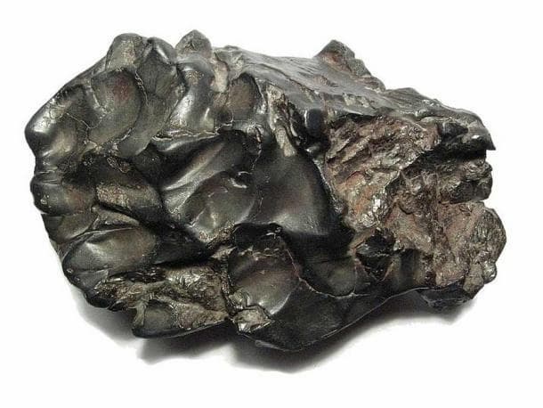 NWA 869 meteorite
