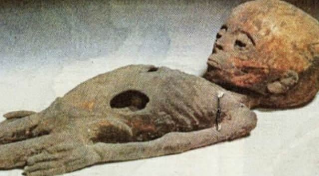 The enigma of ancient Egypt is revealed: extraterrestrial mummies found in tombs